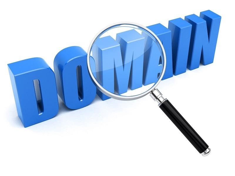 Một Số Tính Năng Khi Sử Dụng Ahrefs Để Phân Tích Backlinks 6 Kiểm tra các Domain trỏ về
